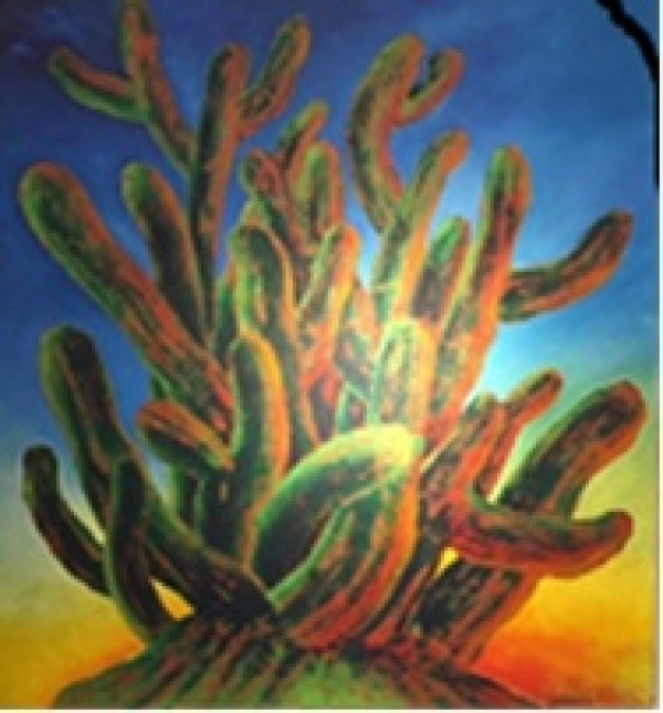 Cactus al atardecer
