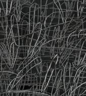 4-exposicion.obra-reciente3