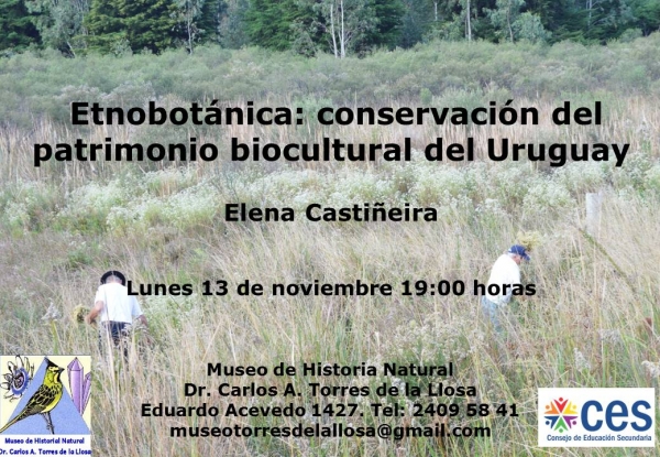 Conferencia en el Museo Torres de la Llosa