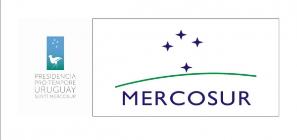 Programa MercoMuseos.