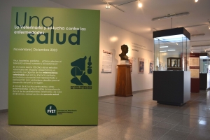 Detalle de la exposici&oacute;n del Museo Veterinario