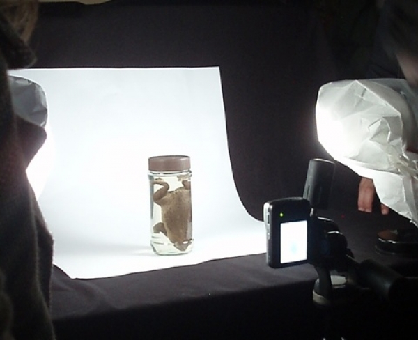 Taller de fotograf&iacute;a digital aplicada al registro de colecciones museol&oacute;gicas.