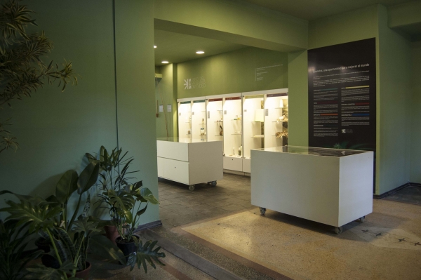 Museo del Cannabis Montevideo