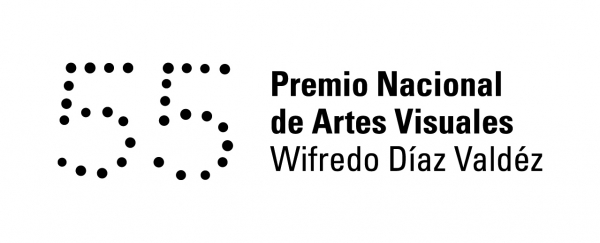 55º Premio Nacional de Artes Visuales en el MNAV. Inaugura el Salón Nacional. Jueves 15 de Noviembre, 19:00 hs.