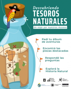 &ldquo;Descubriendo tesoros naturales&rdquo;: tres museos invitan a una aventura interactiva