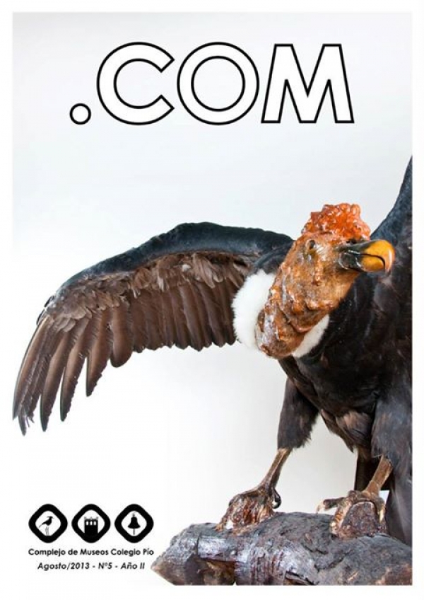 Nuevo número de la revista digital .COM editada por el Complejo de Museos del Colegio Pío.