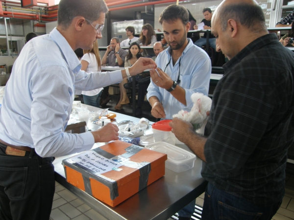 Ph.D. Néstor González (Universidad Clemson, EUA) y Arqueólogos Alejo Cordero y Valerio Buffa (CPCN, Uruguay) durante las actividades prácticas centradas en la conservación de materiales saturados en agua.