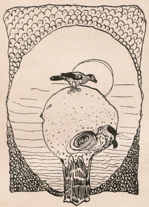 Material de divulgaci&oacute;n de la exposici&oacute;n del Museo Figari
