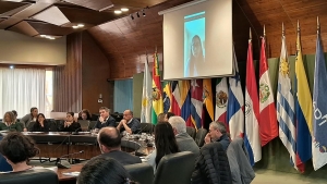 Seminario regional en Montevideo sobre tr&aacute;fico il&iacute;cito de bienes culturales