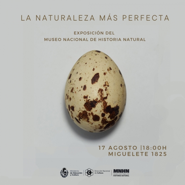 La naturaleza más perfecta, nueva exposición del Museo Nacional de Historia Natural