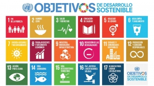 Los museos y la sostenibilidad como modelo de gestión. Actuar hoy pensando en mañana.