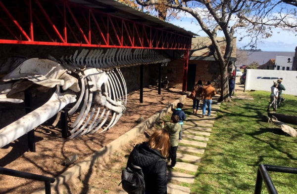 Museo de Colonia